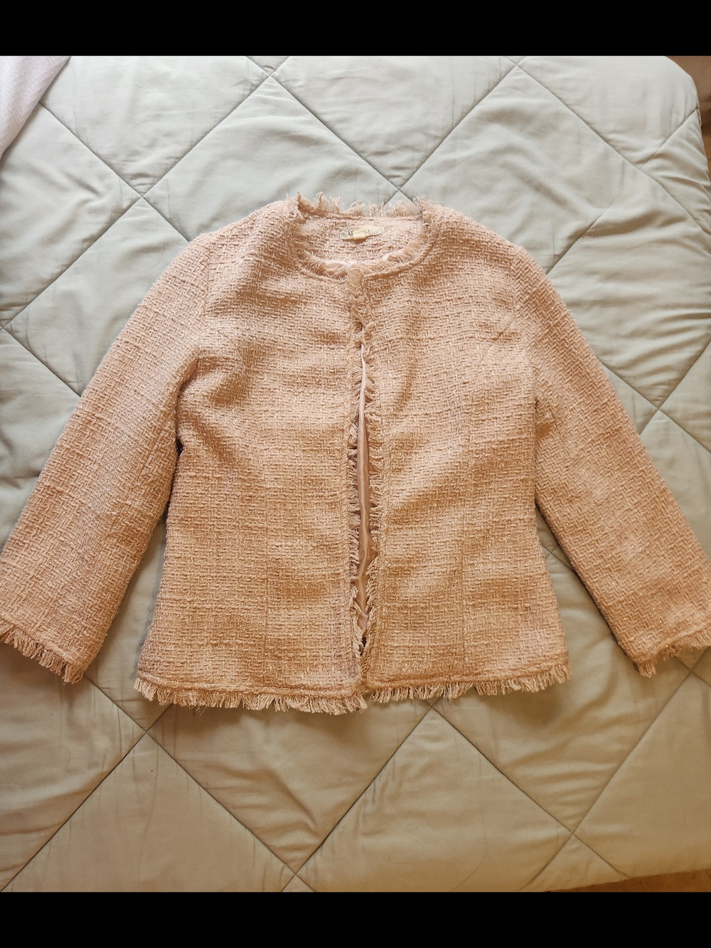 Alythea Blush Tweed Frayed-Trim Women's Jacket